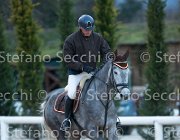 Elvira Tosc Tour2013- S5 1920 : Arezzo, Cavalli d'Italia, Elvira B, Toscana Tour 2013, foto di Stefano Secchi ©